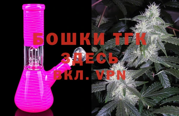 ПСИЛОЦИБИНОВЫЕ ГРИБЫ Алексеевка