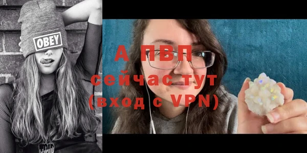 mdpv Магадан