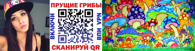Псилоцибиновые грибы Cubensis блэк спрут зеркало Салехард